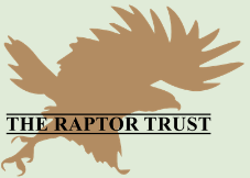The Raptor Trust logo
